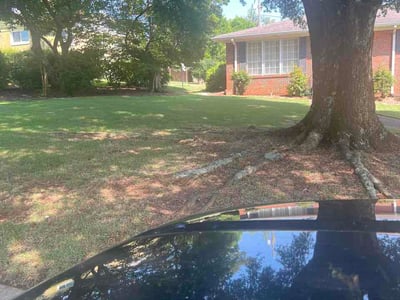Lawn Care service in Vestavia Hills, 35216