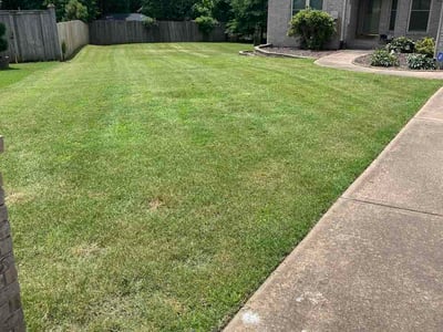 Lawn Care service in Maumelle, 72113