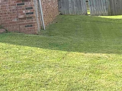 Lawn Care service in Maumelle, 72113