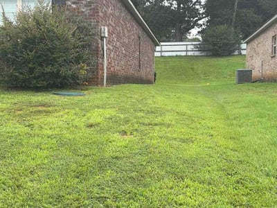 Lawn Care service in Harvest, 35749