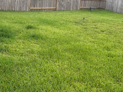 Lawn Care service in Glendale, 85301