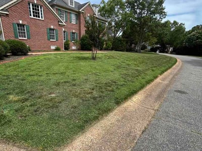Lawn Care service in Williamsburg, 23185