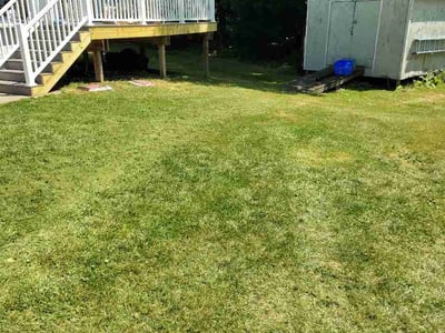 Lawn Care service in Canastota, 13032