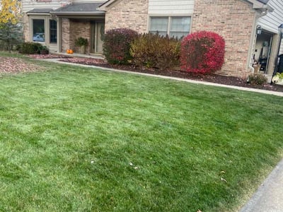 Lawn Care service in Brighton, 48116