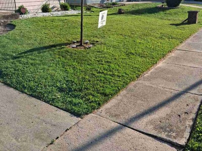 Lawn Care service in Perrysburg, 43551