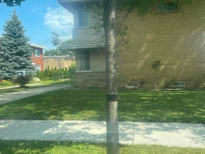 Lawn Care service in Skokie, 60076