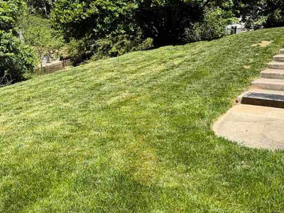Lawn Care service in Fredericksburg, 22401