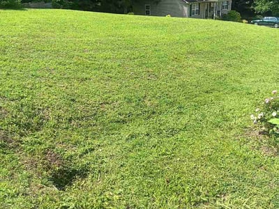Lawn Care service in Clover, 29710