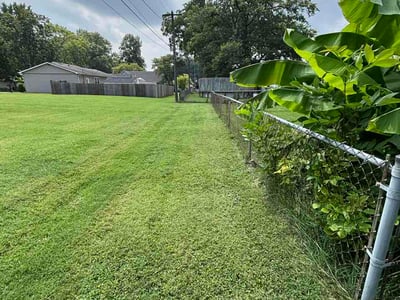 Lawn Care service in O Fallon, 62269