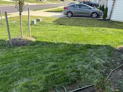 Lawn Care service in Freeport, 11520