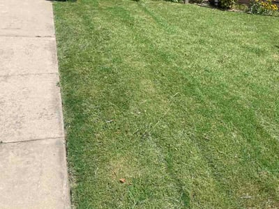 Lawn Care service in Bethany, 73008