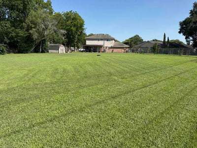 Lawn Care service in Sherman, 75090