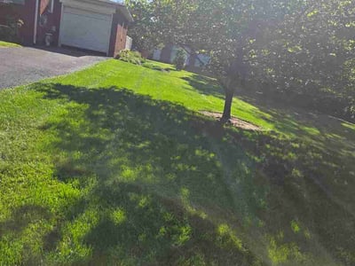 Lawn Care service in Hershey, 17033