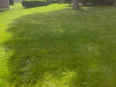 Lawn Care service in Woodridge, 60517