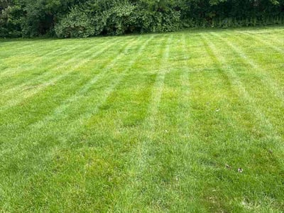 Lawn Care service in Woodridge, 60517