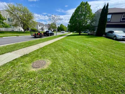 Lawn Care service in Woodridge, 60517