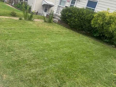 Lawn Care service in Brigham City, 84302