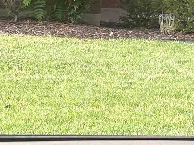 Lawn Care service in Riverton, 84065