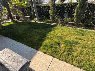 Lawn Care service in Fresno, 93721