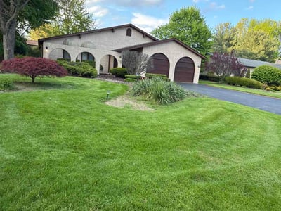 Lawn Care service in California City, 93505