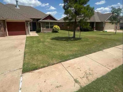 Lawn Care service in Green Valley, 85614