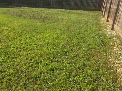 Lawn Care service in California City, 93505