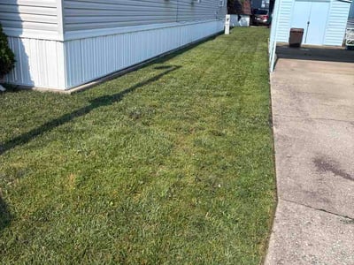 Lawn Care service in Lake In The Hills, 60156