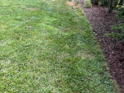 Lawn Care service in Weaverville, 28787