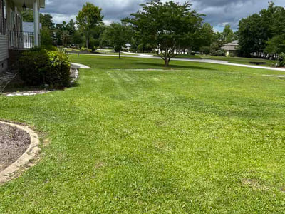 Lawn Care service in New Bern, 28560