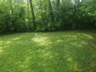 Lawn Care service in Rockville, 20850