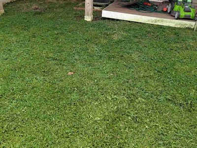 Lawn Care service in Woodbridge, 22191