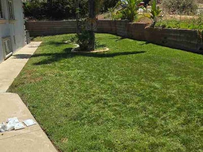 Lawn Care service in San Jacinto, 92583