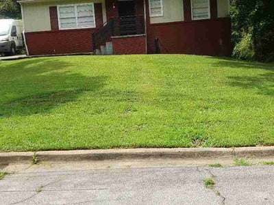Lawn Care service in Leicester, 28748