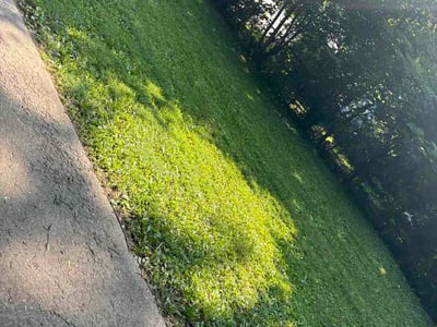 Lawn Care service in Chambersburg, 17201