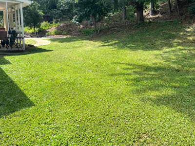 Lawn Care service in Trussville, 35173