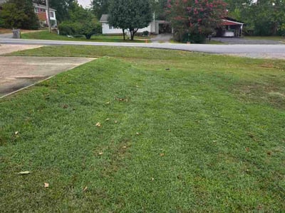 Lawn Care service in Benton, 72015