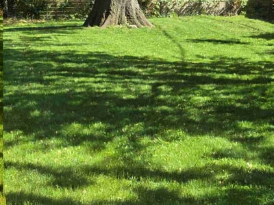 Lawn Care service in Parsippany, 07054