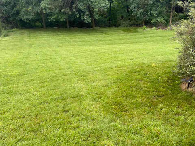 Lawn Care service in Parsippany, 07054