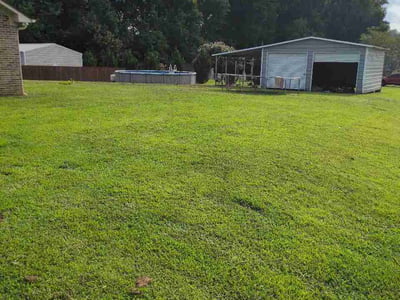 Lawn Care service in Toney, 35773