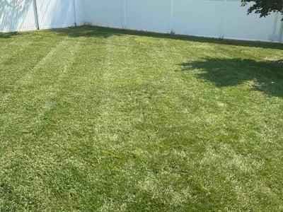 Lawn Care service in Round Lake, 60073