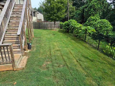 Lawn Care service in Tolleson, 85353