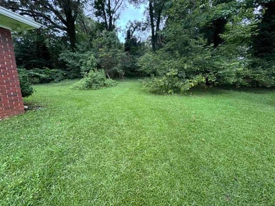 Lawn Care service in Tolleson, 85353