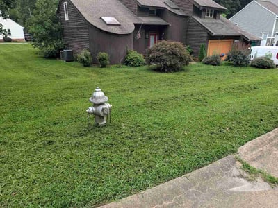 Lawn Care service in Mechanicsville, 23111
