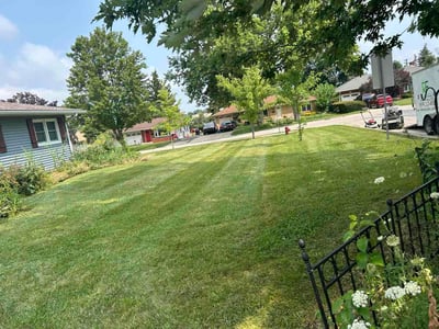 Lawn Care service in Lockport, 60441