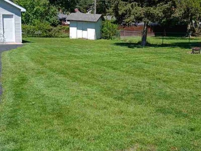 Lawn Care service in Lockport, 60441