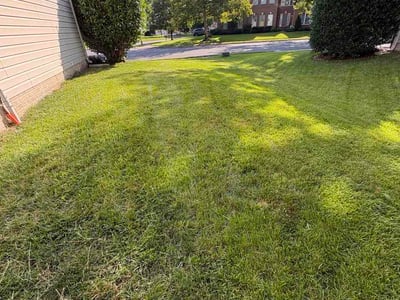 Lawn Care service in Herndon, 20170