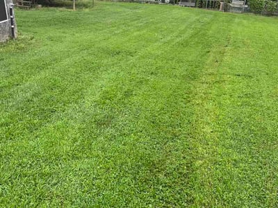 Lawn Care service in Sevierville, 37862