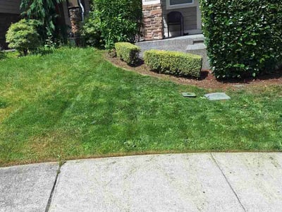Lawn Care service in Snohomish, 98290
