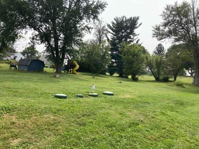 Lawn Care service in La Crosse, 54601