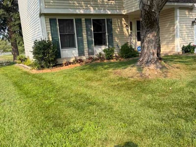 Lawn Care service in Manassas, 20110